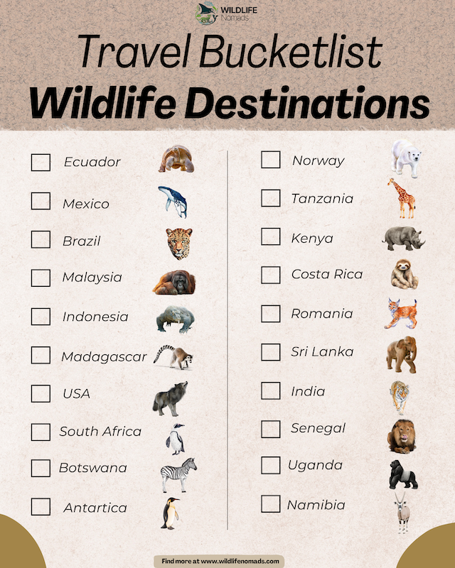 Wildlife-Photography-Destinations-c.webp infographic showing iconic travel destinations for wildlife