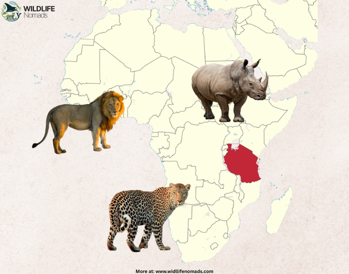 Tanzania.webp Tanzania location in africa map