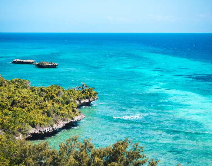 panoramic view of a beach in chumbe island