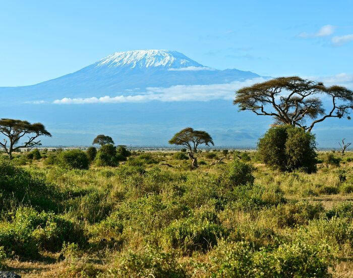 panoramic view of Amboseli National Park with a volcano on the background
