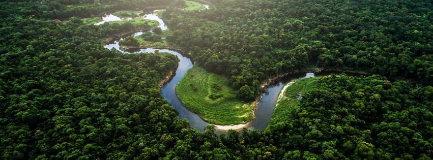  Atlantic Forest, Brazil