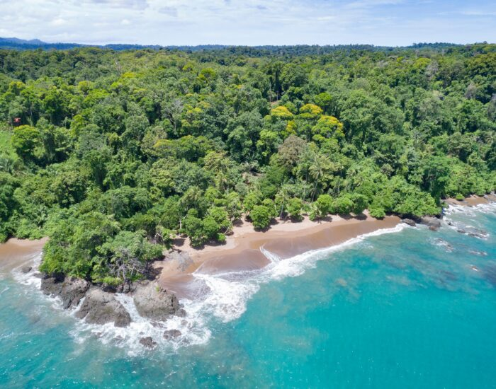  aerial photo of Corcovado National Park  and a beach
