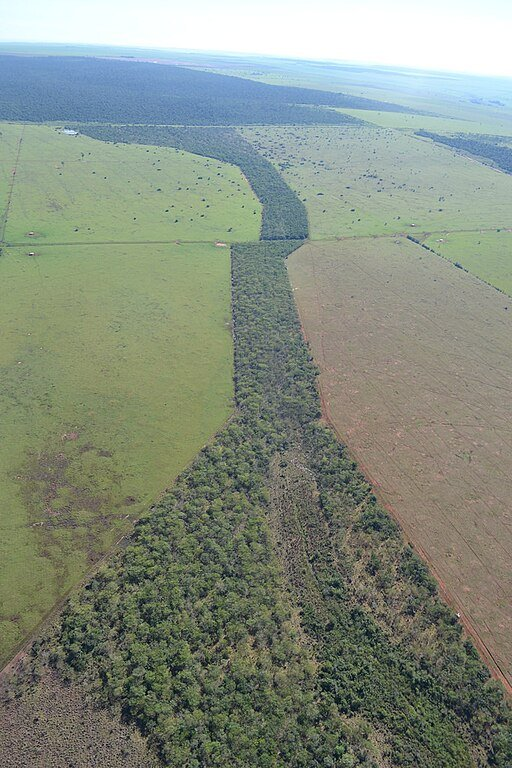 Wildlife Corridor, Pontal do Paranapanema | Ipe - CC BY-SA 4.0 via Wikimedia Commons