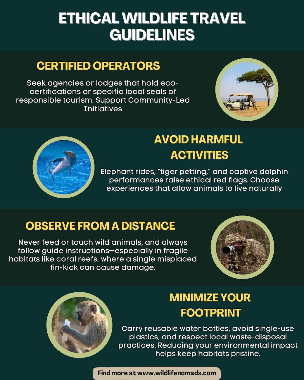 Cesar Medina Davila Ethical Wildlife Photography Guides infographic