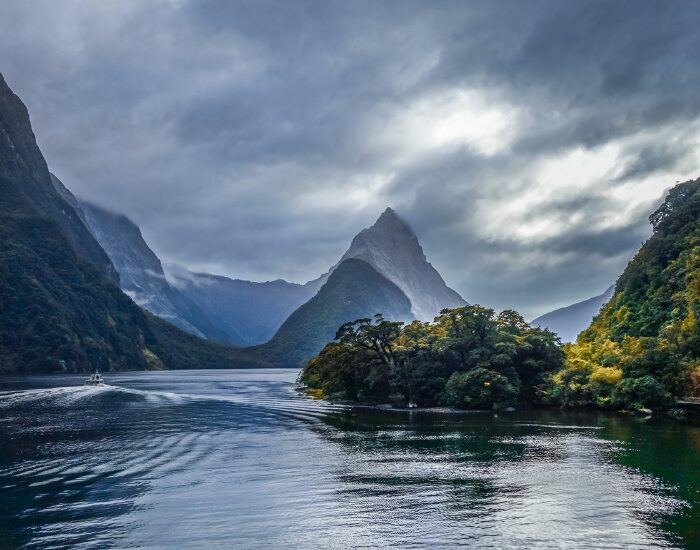 panoramic view of Fiordland National Park with mountains on the background