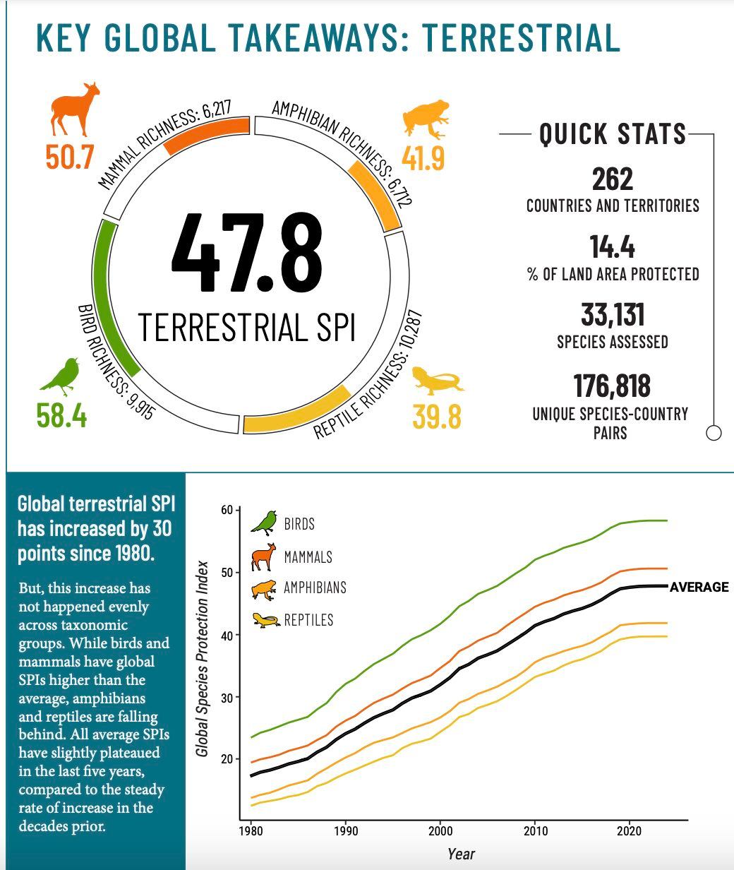 Key Global Takeaways from the Species protection Report 2024