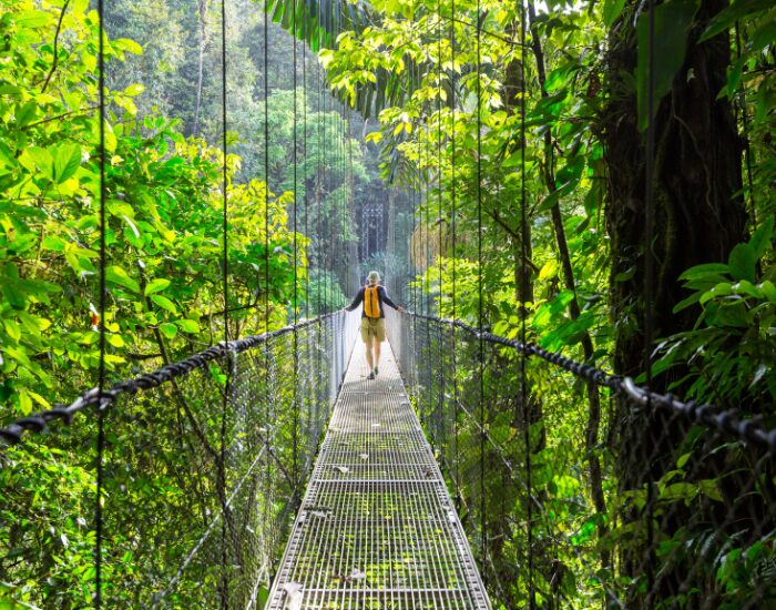 A person on a hanging bridge in a National Park in Costa Rica
