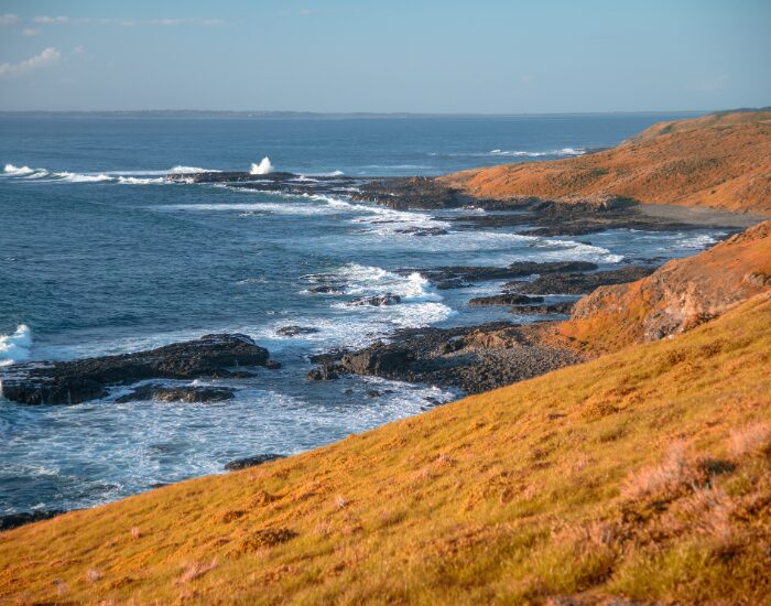  beach and cliffs at Phillip Island Nature Parks