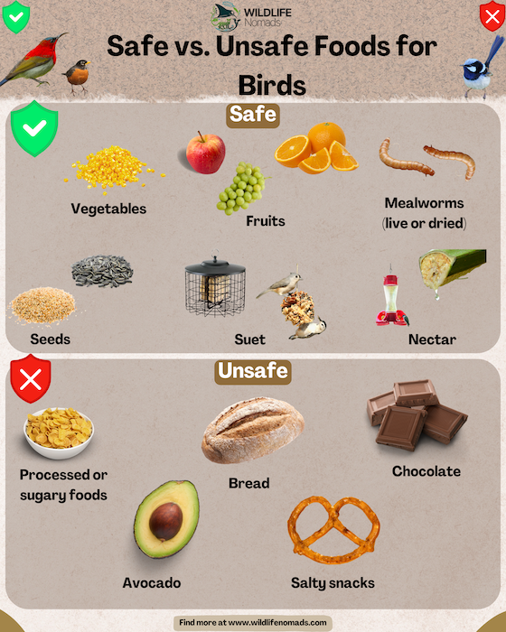 Safe-vs.-Unsafe-Foods-for-Birds-infigraphic.webp infographic showing Safe vs Unsafe Foods for birds