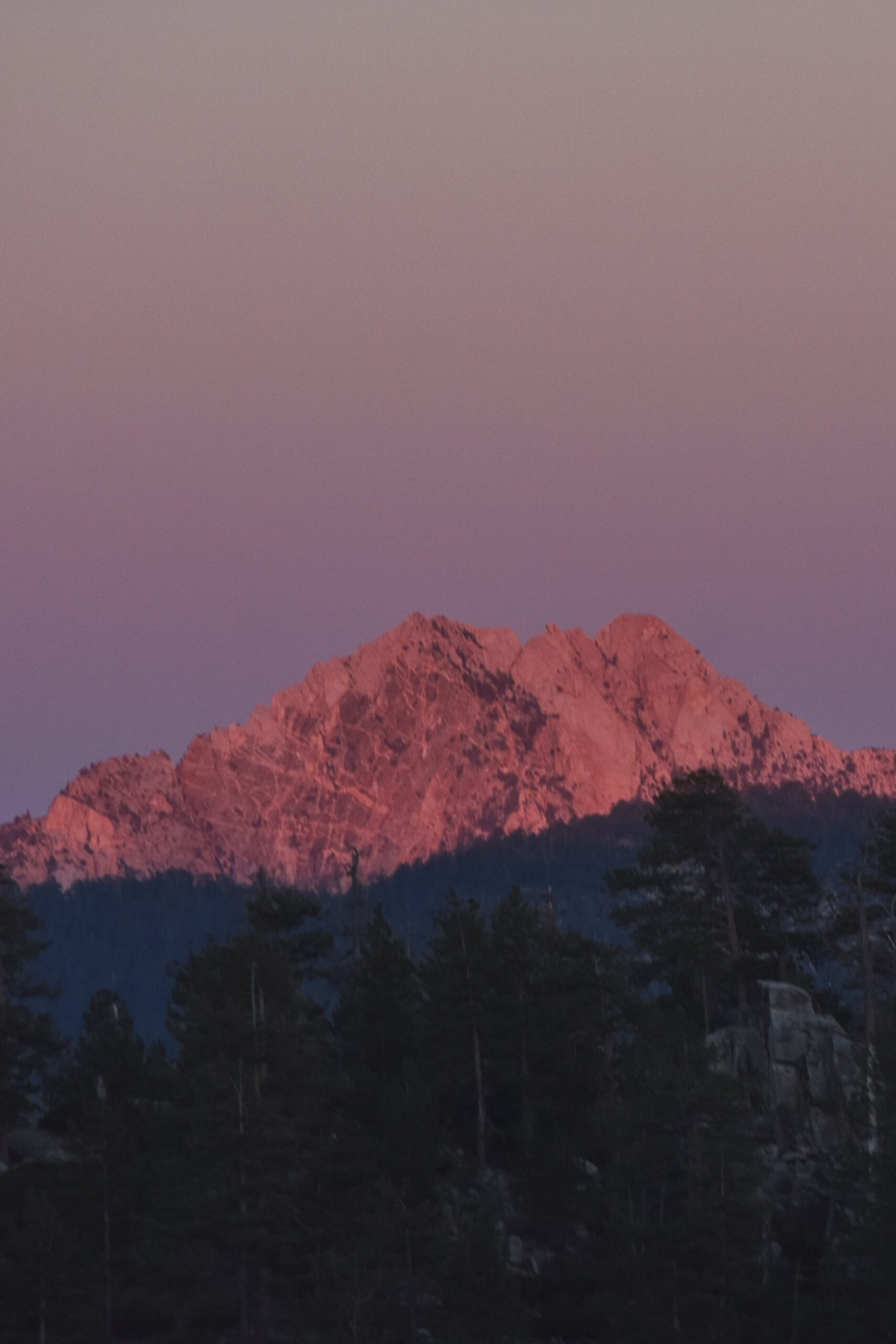 An evening on Sierra San Pedro Martir in Baja