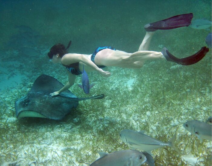  Snorkeler with stingray Hol Chan Marine Reserve 