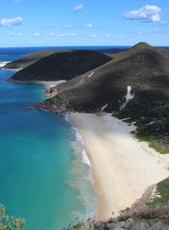 Noman Bakhshi Tomaree National Park |aerial photo of a beach