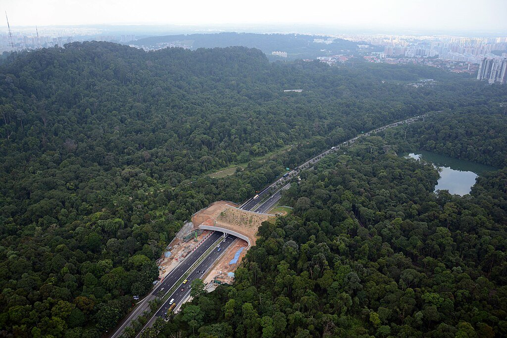 Wikimedia Commons aerial photo of a Wildlife overpass in Singapore