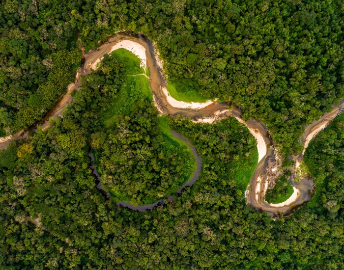 aerial drone photo of forest and river.png