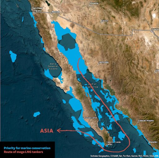 Map source: whalesorgas.org a map diagram with the proposed route of the oil shipping from sonora port through the gulf of california into asia