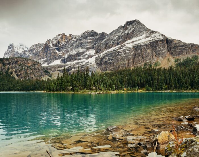 a lake with a forest and amountain at Yoho National Park