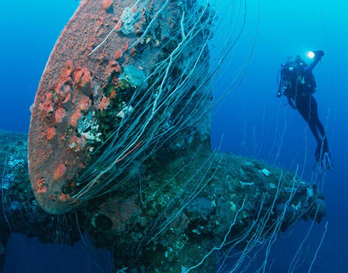 DAPA sunken ship and scuba diver at Bikini atoll marshall islands