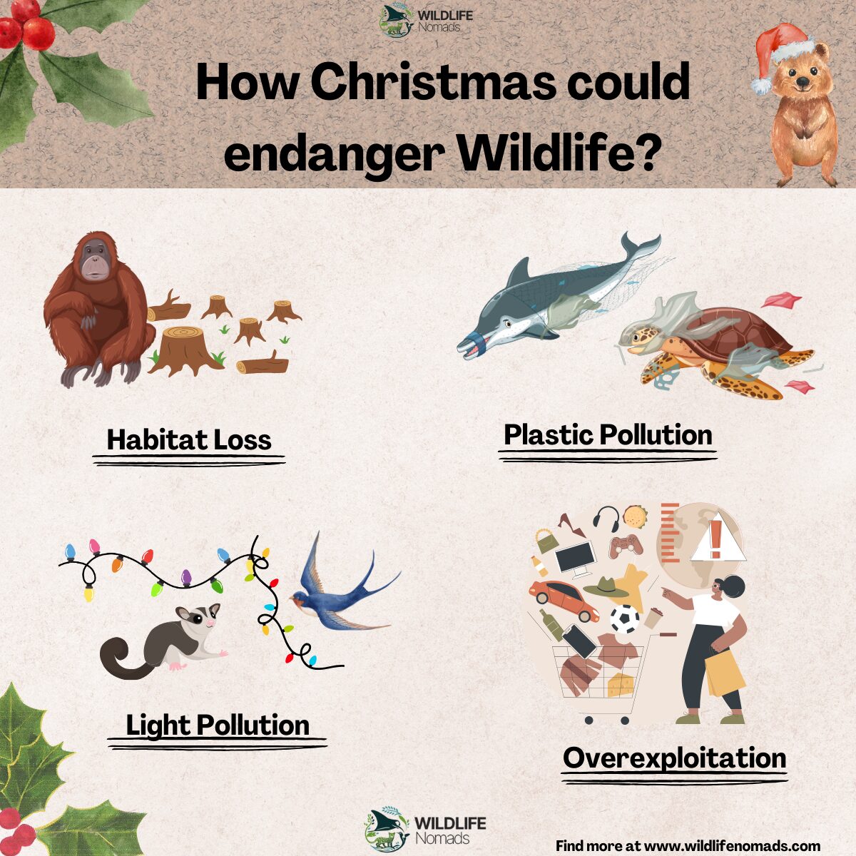 Infographic of how christmas could endanger wildlife