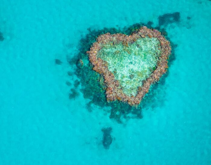 aerial photo from a Heart Reef surrounded by crystal clear blue water in the great barrier reef Robins 