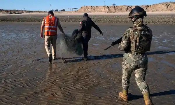 Getty Images Fisheries officials and a Mexican marine confiscating an illegal net in Baja California