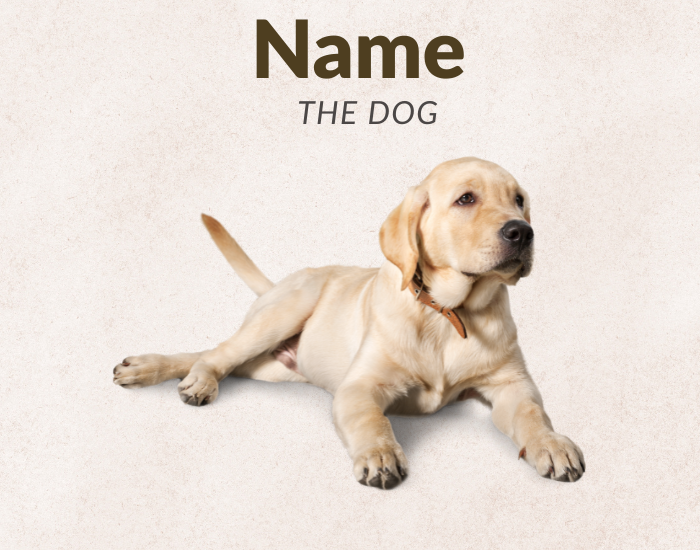 Name the dog breed quiz