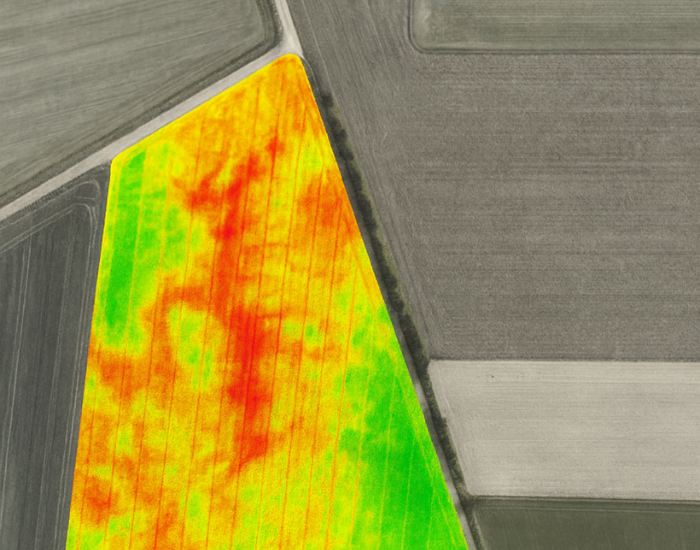 spectral satellite imagery