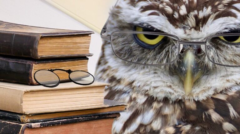 an owl with glasses next to a pile of books