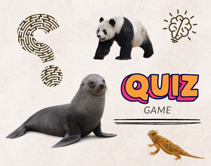 Animal trivia quiz game
