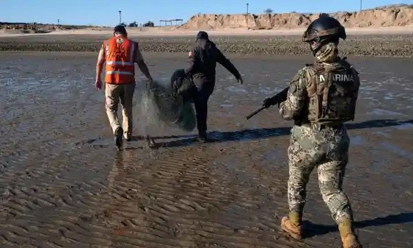 Mexicansoldiersendangeredvaquitaporpoise.webp mexican soldiers walking with local fisherman