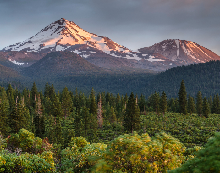 panoramic view of Shasta County with mountains and a forest on the background