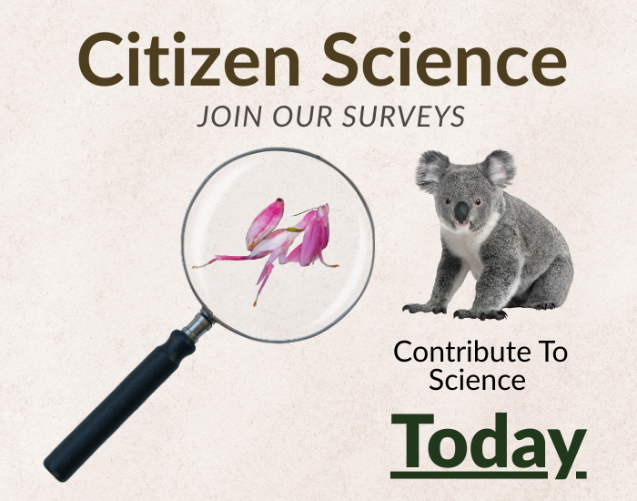Citizen science wildlife research