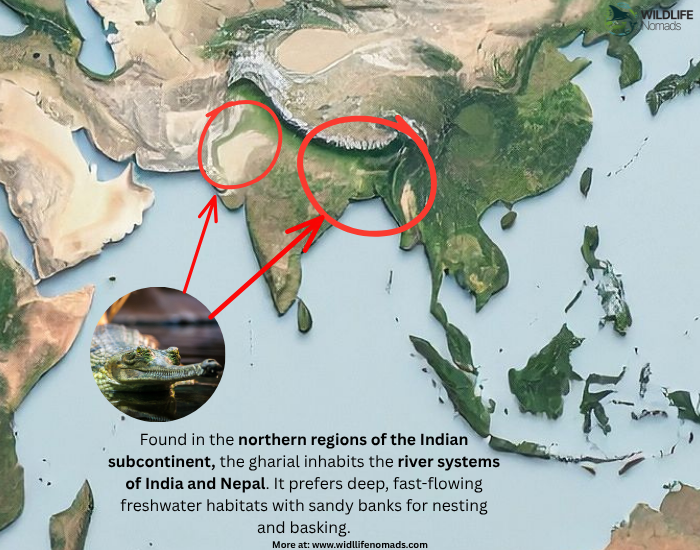 gharial-distribution.webp Gharial distribution map