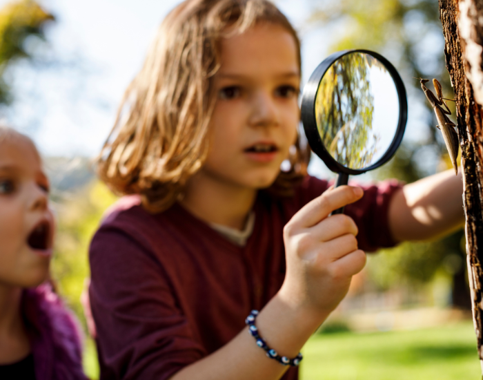 kids.webp kid holding a glass looking at an insect standing on a tree
