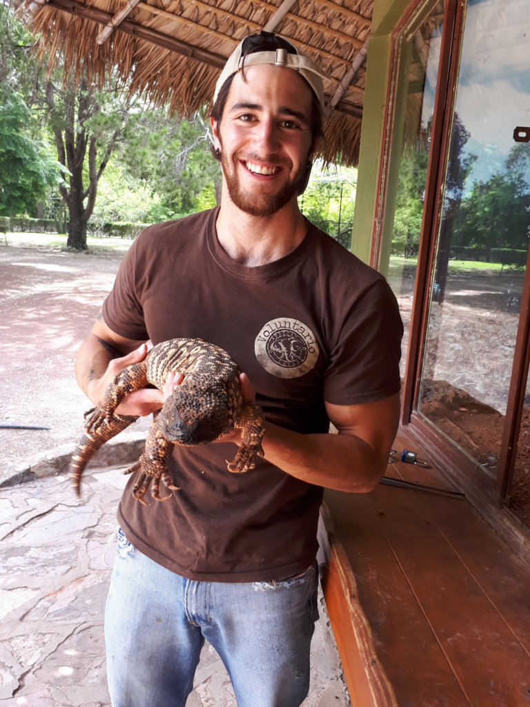 man-with-a-gila-monster.webp man carrying a gila monster in a zoo