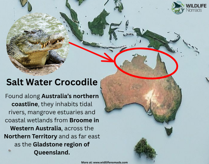 salt-water-crocodile-distribution-map.webp salt water crocodile distribution map