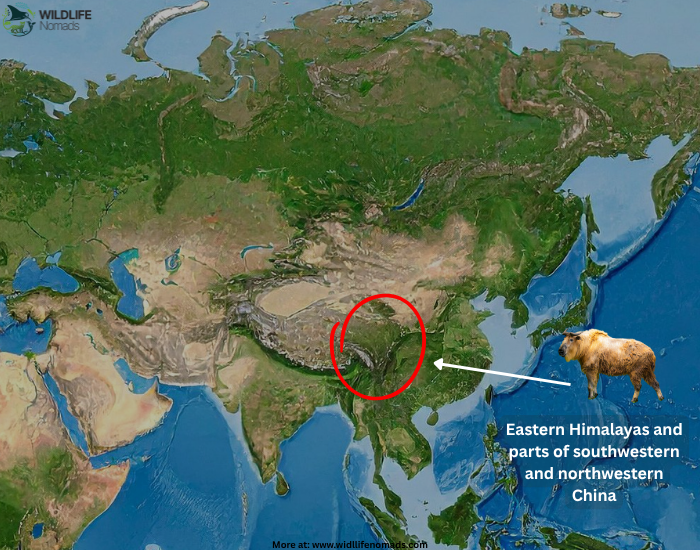 takin distribution  map