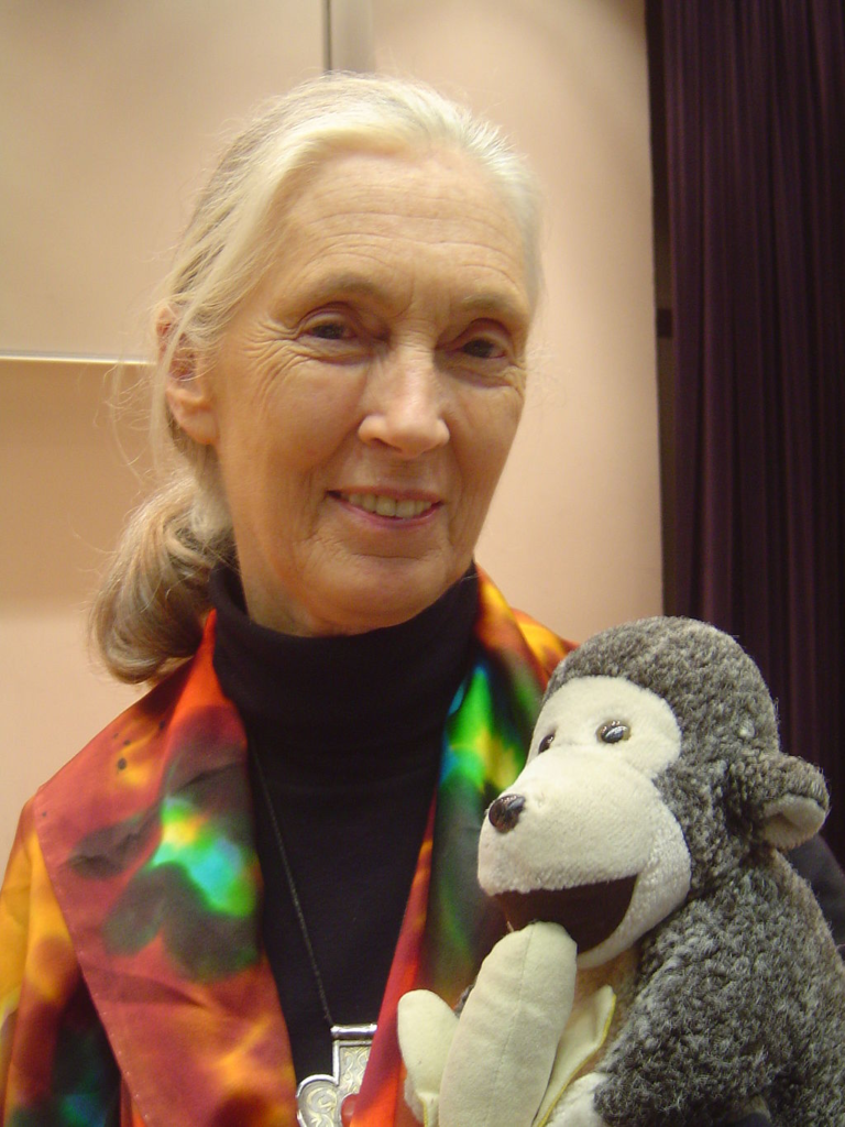 1024px-Jane_Goodall_HK.webp Jane goodall portrait holding a stuffed monkey