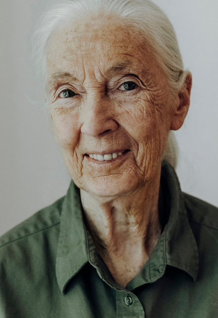 jane goodall portrait