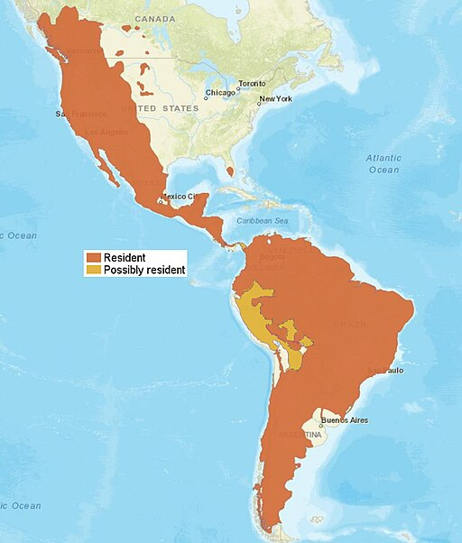 Cougar Distribution map