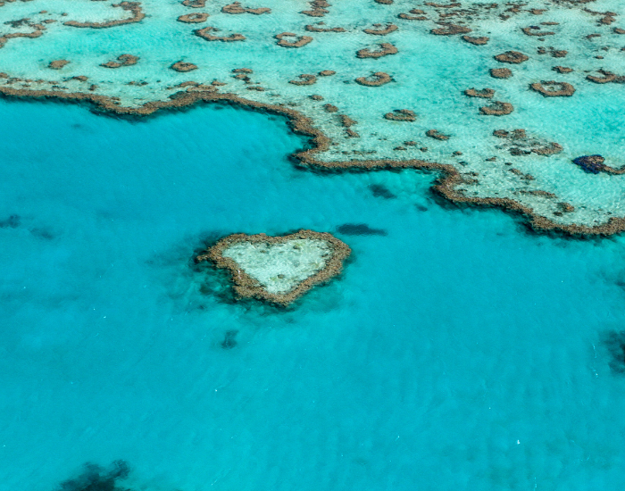 Barrier-Reefs.webp coral island great barrier reef