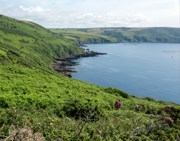 Cornwall-South-West-England.webp panoramic view of Cornwall & South West England