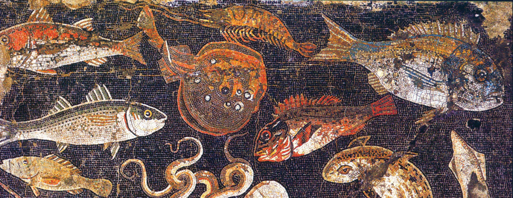 Electric-Ray-Pompeii-Mosaic.webp A torpedo electric ray on a mosaic of finfish, sharks, and cephalopods in Pompeii