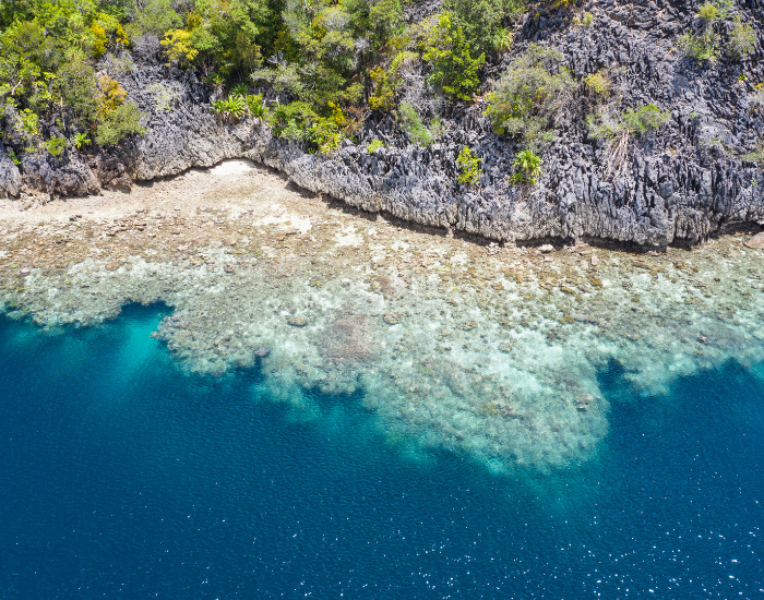 Fringing-Reefs.webp AERIAL PHOTO OF A Fringing Reef