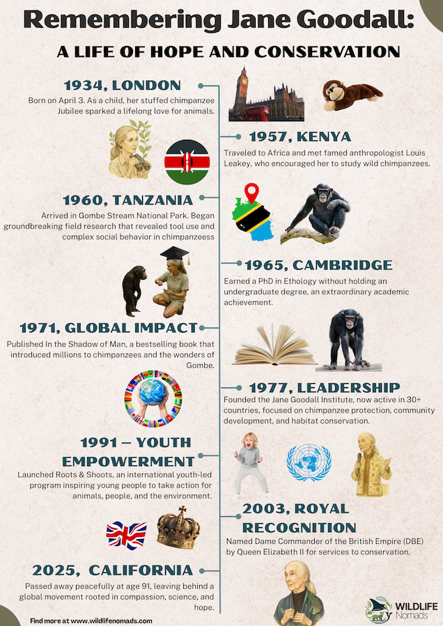 The story of Jane Goodall infographic
