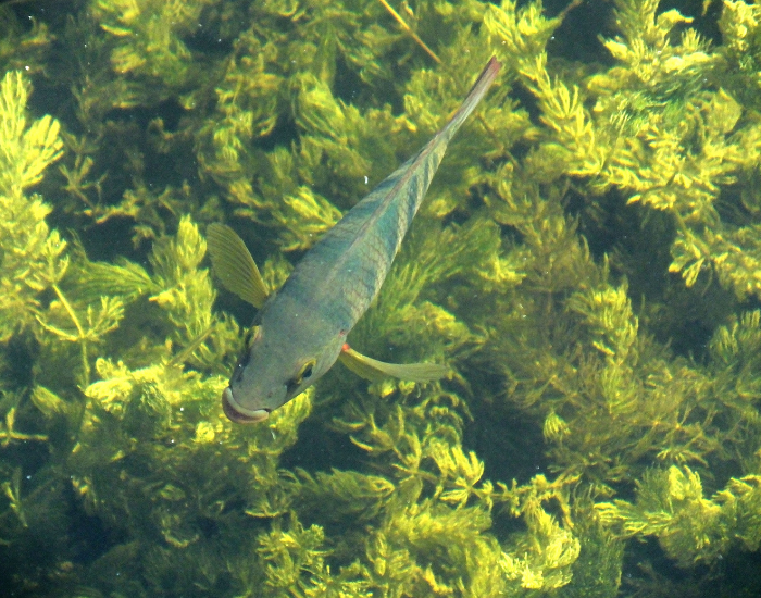  on water
