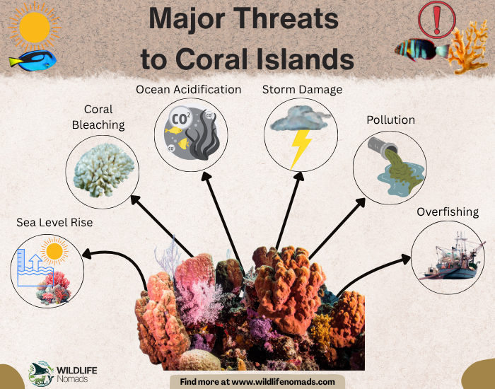 Threats-to-coral-reef-islands.webp Threats to coral reef islands infographic
