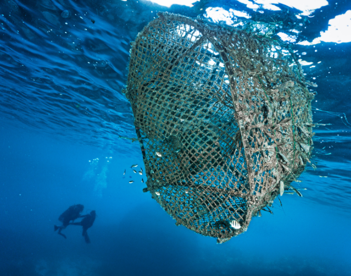 bycatch.webp bycatch net underwater