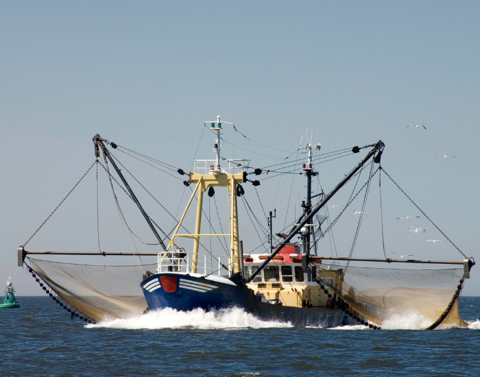 fishing vessel fishing with massive nets