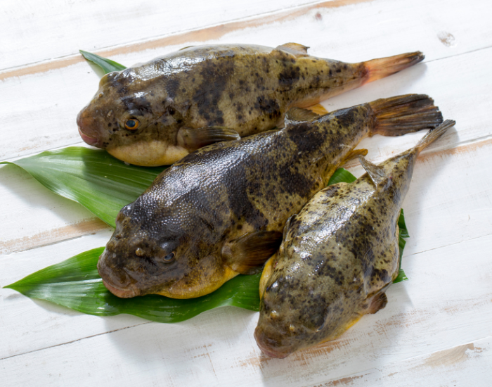 puffer-fish-sea-food.webp Puffer fish cooked delicacy food on a dish