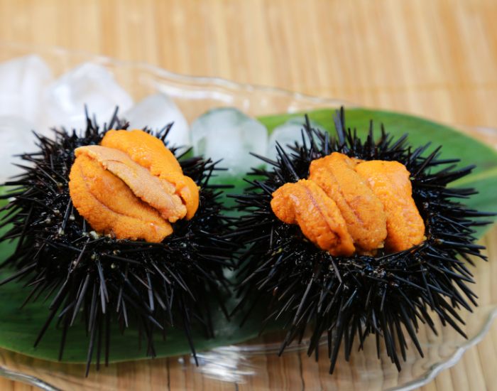 sea-urchin-dish.webp two sea urchins on a dish ready to be eaten